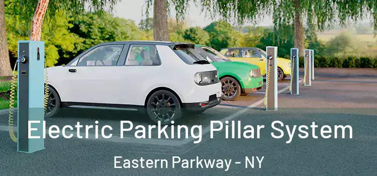 Electric Parking Pillar System Eastern Parkway - NY
