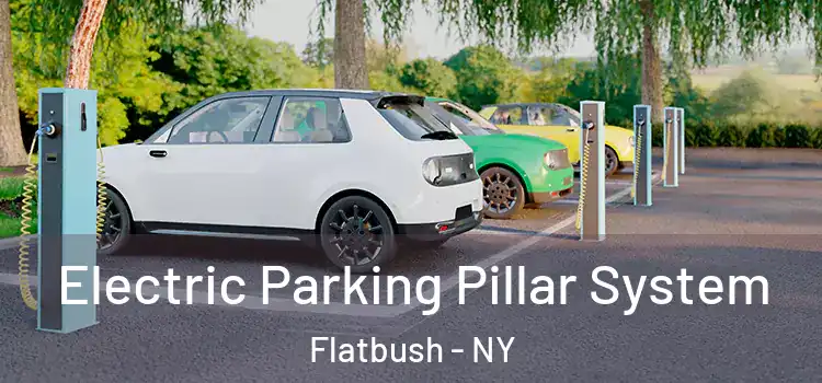 Electric Parking Pillar System Flatbush - NY