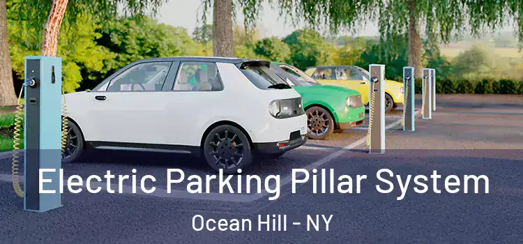 Electric Parking Pillar System Ocean Hill - NY