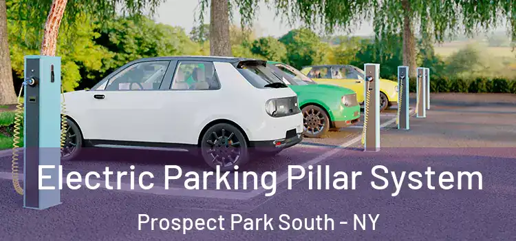 Electric Parking Pillar System Prospect Park South - NY