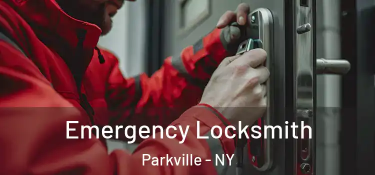  Emergency Locksmith Parkville - NY