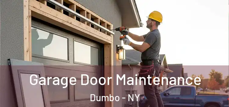 Garage Door Maintenance Dumbo - NY