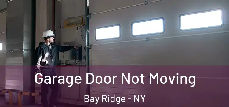  Garage Door Not Moving Bay Ridge - NY