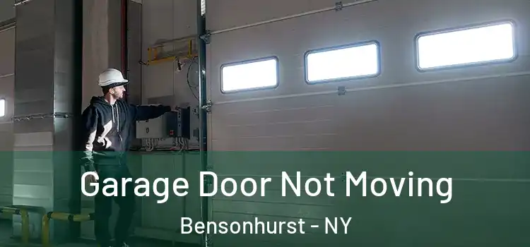  Garage Door Not Moving Bensonhurst - NY