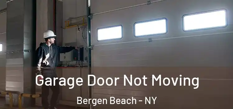  Garage Door Not Moving Bergen Beach - NY