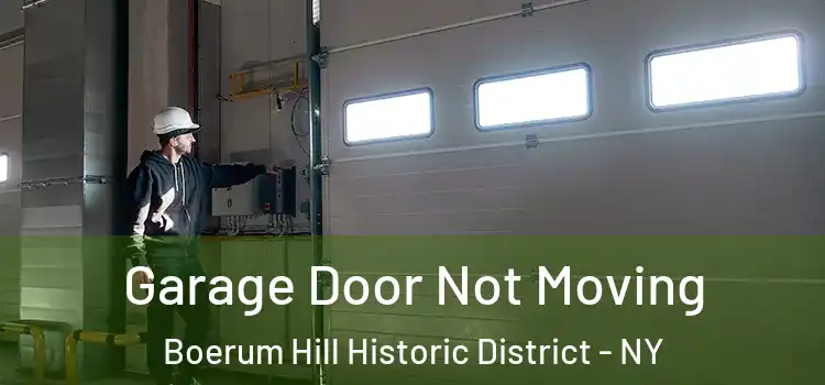  Garage Door Not Moving Boerum Hill Historic District - NY