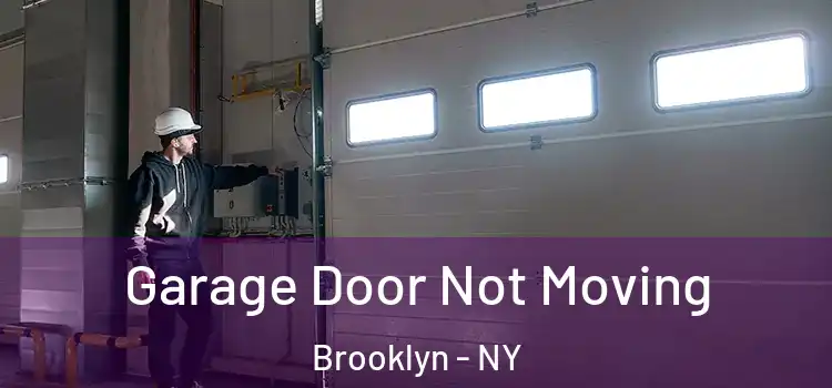  Garage Door Not Moving Brooklyn - NY