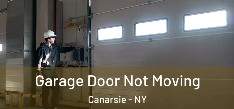  Garage Door Not Moving Canarsie - NY