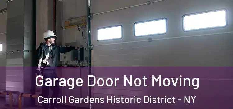  Garage Door Not Moving Carroll Gardens Historic District - NY
