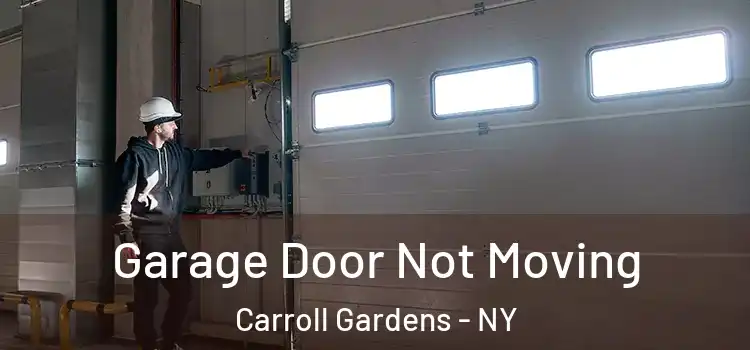  Garage Door Not Moving Carroll Gardens - NY