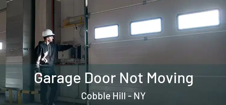  Garage Door Not Moving Cobble Hill - NY