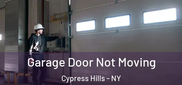  Garage Door Not Moving Cypress Hills - NY