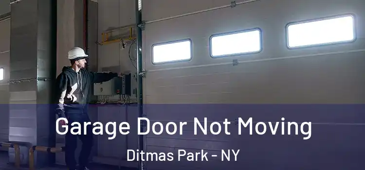  Garage Door Not Moving Ditmas Park - NY