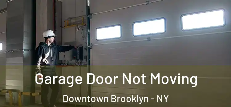  Garage Door Not Moving Downtown Brooklyn - NY
