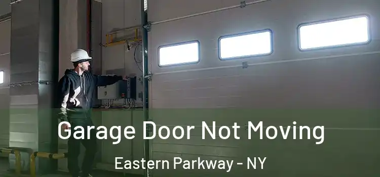  Garage Door Not Moving Eastern Parkway - NY