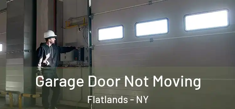  Garage Door Not Moving Flatlands - NY
