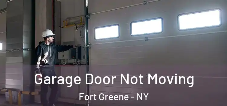  Garage Door Not Moving Fort Greene - NY