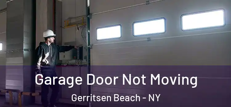  Garage Door Not Moving Gerritsen Beach - NY