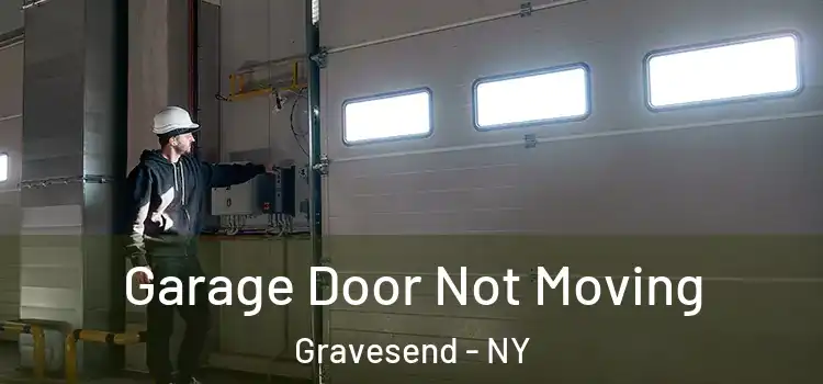  Garage Door Not Moving Gravesend - NY