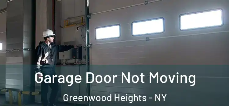  Garage Door Not Moving Greenwood Heights - NY