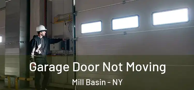  Garage Door Not Moving Mill Basin - NY