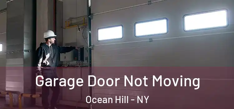 Garage Door Not Moving Ocean Hill - NY