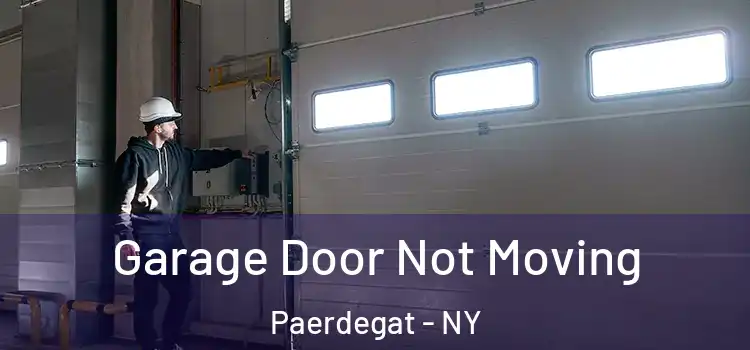  Garage Door Not Moving Paerdegat - NY