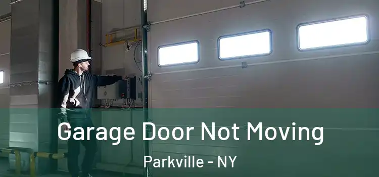  Garage Door Not Moving Parkville - NY