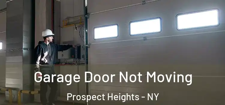  Garage Door Not Moving Prospect Heights - NY