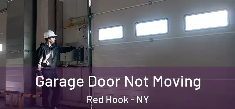  Garage Door Not Moving Red Hook - NY