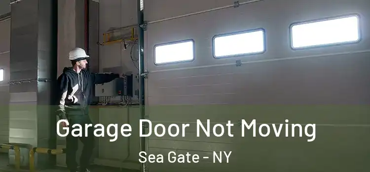  Garage Door Not Moving Sea Gate - NY
