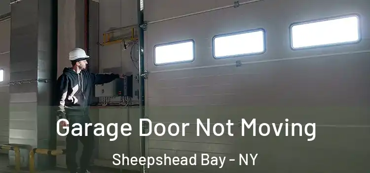  Garage Door Not Moving Sheepshead Bay - NY