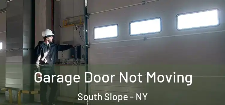  Garage Door Not Moving South Slope - NY