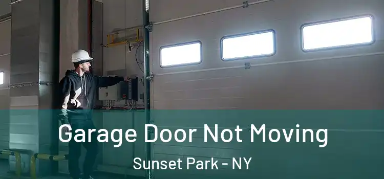  Garage Door Not Moving Sunset Park - NY