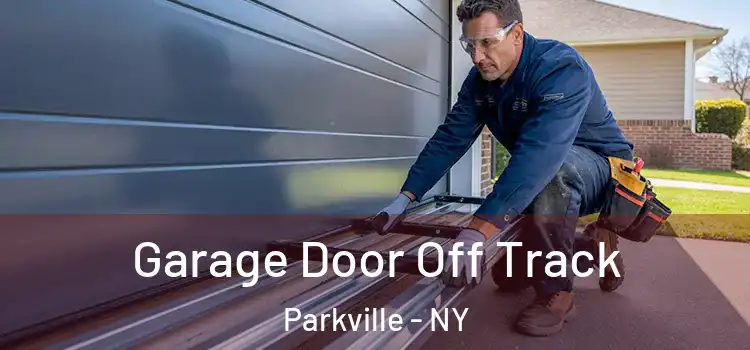  Garage Door Off Track Parkville - NY