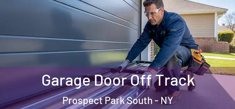  Garage Door Off Track Prospect Park South - NY