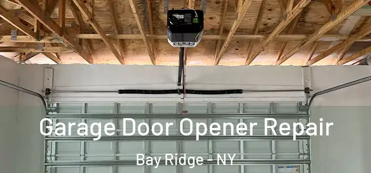  Garage Door Opener Repair Bay Ridge - NY
