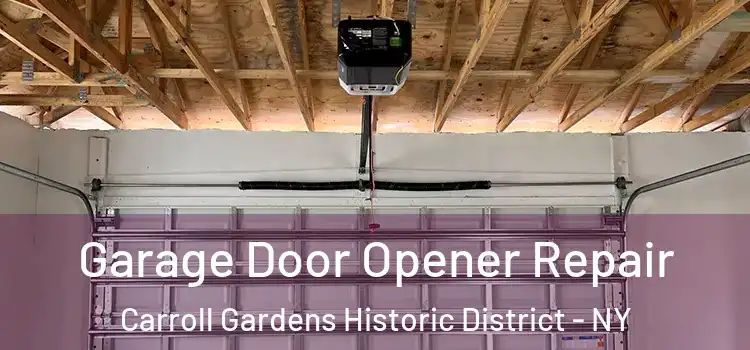  Garage Door Opener Repair Carroll Gardens Historic District - NY