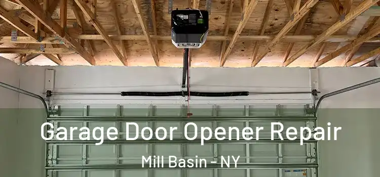  Garage Door Opener Repair Mill Basin - NY