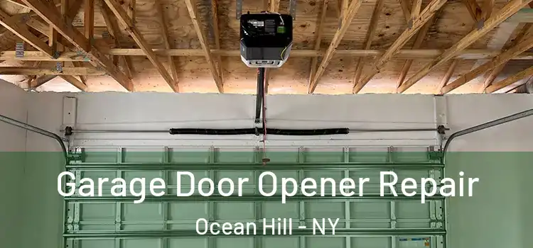  Garage Door Opener Repair Ocean Hill - NY