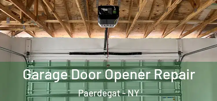  Garage Door Opener Repair Paerdegat - NY