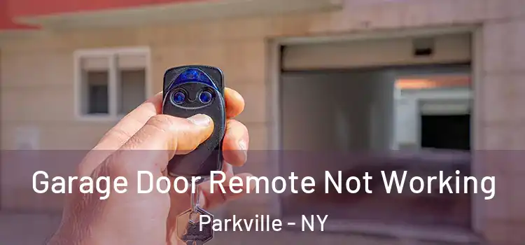  Garage Door Remote Not Working Parkville - NY