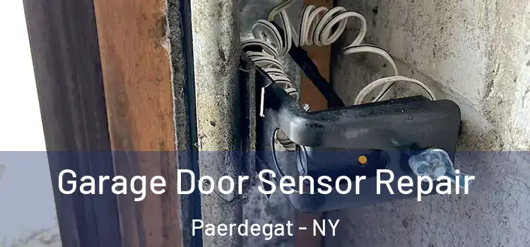  Garage Door Sensor Repair Paerdegat - NY