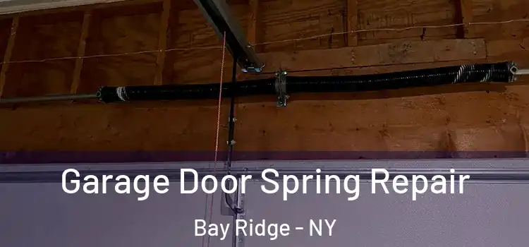  Garage Door Spring Repair Bay Ridge - NY