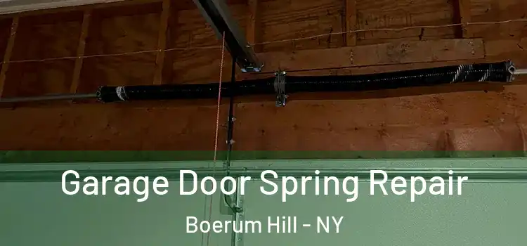  Garage Door Spring Repair Boerum Hill - NY