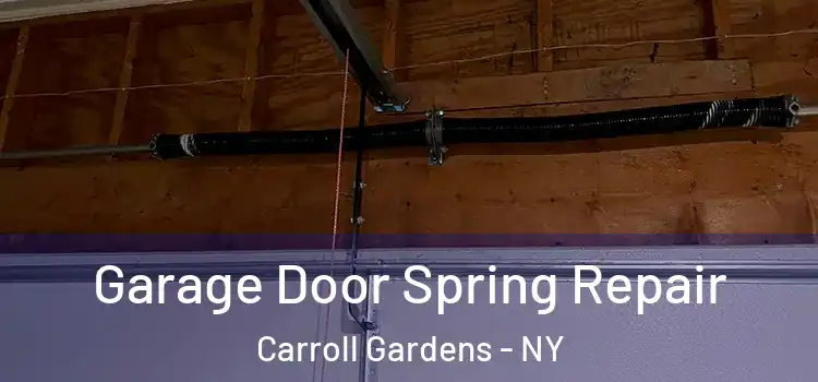  Garage Door Spring Repair Carroll Gardens - NY