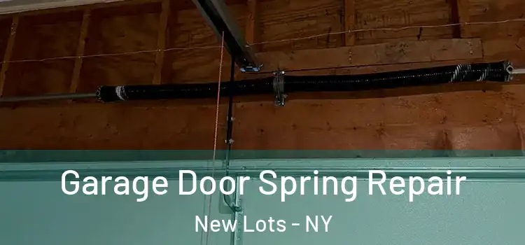  Garage Door Spring Repair New Lots - NY