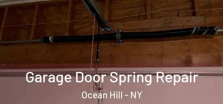  Garage Door Spring Repair Ocean Hill - NY