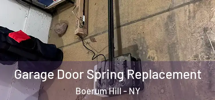  Garage Door Spring Replacement Boerum Hill - NY
