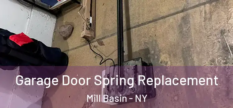  Garage Door Spring Replacement Mill Basin - NY